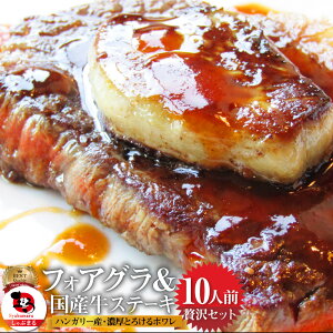 tHAO & YvXe[LZbg 10lO(tHAO10Xe[L130g×10)ō nK[Y tHAOEhEJi[ Ⓚ ʔ Xg p Hi j 