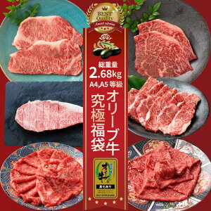 2025N ɃI[u d2.68kg( 6 Hה )  јa  ēZbg ē Xe[L Ă Ԃ  Mtg v[g Hi j  eNjJ( A4 ` A