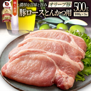 I[u ؃[X Ƃ񂩂EgeLp 500g (100g×5) Ƃ񂩂 gJc geL ؓ [X Ⓚ ] Y 쌧