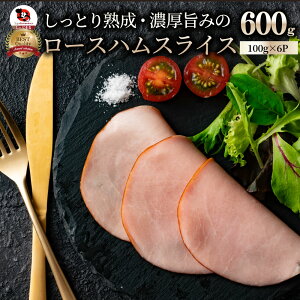[Xn XCX K 600g(100g×6) ܂ n  p[eB[ T_n gbsO [X Ɩp y I[hu
