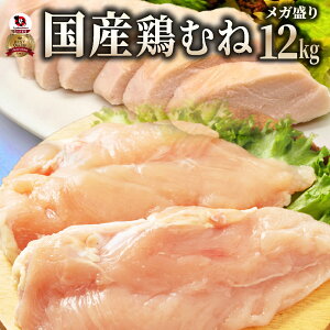 Y {l 12kg i2kg×6j 󂠂 Ɩp {  l  ނ Y Ⓚ 2kg p wV[ T_`L