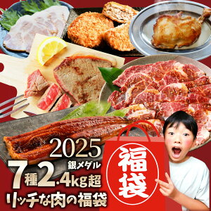 2025    Hi YXe[L ē Ȃ1{ no[Os⃁_t7Hה ґZbg Mtg v[g ʔ 