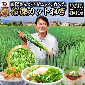 Jbg˂ 500g ˂ lM VƂ̃Jbg˂ K Ⓚ ƂꂽălM 쌧Y Ⓚ Z  ȒP 炸