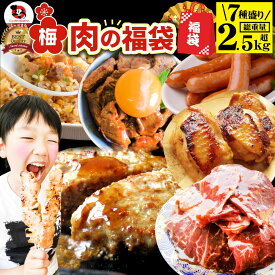 【6/1(土)24h限定★エントリーで最大P20倍】肉 福袋 肉の福袋 「梅福袋」牛肉 食品 メガ盛り 総重量2.5kg超 焼くだけ＆レンジで簡単調理！ランキング1位＆人気のお肉豪華セット 焼肉 ハラミ ランキング1位 ハンバーグ 時短 プレゼント 送料無料