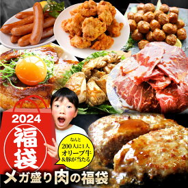 2024 肉の福袋 ブロンズ メガ盛り 総重量2.25kg( 7種 食べ比べ )完全赤字の肉袋 焼くだけ＆レンジで ランキング1位＆人気のお肉ばかりの豪華セット 福袋 牛肉 焼肉セット 焼肉 ランキング1位 ハンバーグ プレゼント 送料無料