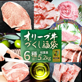 肉の福袋 オリーブ牛 メガ盛り 総重量5.2kg超( 6種 食べ比べ ) 福袋 黒毛和牛 牛肉 焼肉セット 焼肉 ステーキ すき焼き しゃぶしゃぶ 肉 母の日 父の日 新生活 ギフト 食品 お祝い 凍眠 テクニカン( A4 ～ A5等級 )国産 記念