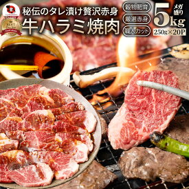 牛ハラミ焼肉(タレ漬け)5kg(250g×20) タレ 赤身 はらみ 秘伝 焼肉セット 焼肉 ランキング1位 やきにく ハラミ アウトドア お家焼肉 レジャー 送料無料 バーベキュー 肉 食材 セット キャンプ キャンプ飯