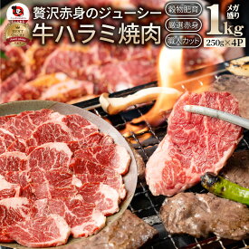 牛 ハラミ 焼肉 1kg(250g×4P)牛肉 メガ盛り (＊当日発送対象) 赤身 はらみ 贅沢 おトク お徳用 送料無料 アメリカ産 あす楽 肉 通販 グルメ アウトドア お家焼肉 レジャー 送料無料 バーベキュー 肉 食材