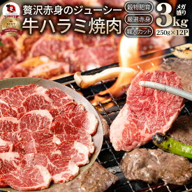 【6/1(土)24h限定★エントリーで最大P20倍】牛 ハラミ 焼肉 3kg(250g×12P)牛肉 メガ盛り (＊当日発送対象) 赤身 はらみ 贅沢 おトク お徳用 送料無料 あす楽 肉 アウトドア お家焼肉 レジャー 送料無料 バーベキュー 肉 食材 セット