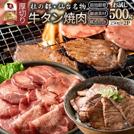 肉 父の日 御中元 お中元 ギフト 食品 お祝い 牛肉 牛タン 焼肉 500g (250g×2P)厚切り 約4人前 食品 贈答 お祝い 御祝 内祝い ランキング1位 送料無料 バーベキュー 肉 食材 セット