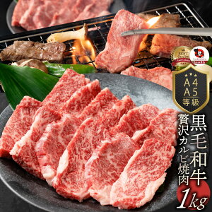 Mtg Hi j A4,A5 I јa Jrē 1kg(250g×4) ē̃^t v[g   ē Jr BBQ Ă Y A5 A4AEghA Əē W[ BBQ o[xL[ 