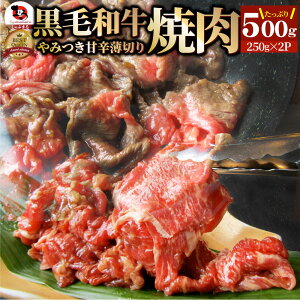 јa ؂藎Ƃ  ē ~500g(250g×2)a  Ε NX}XHi j ^Ђ  蕨  j Mtg v[g