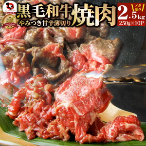 јa ؂藎Ƃ  ē ~2.5kg(250g×10)a  Ε NX}XHi j ^Ђ  蕨  j Mtg v[g