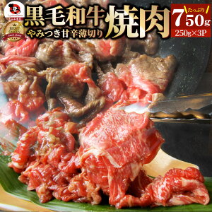јa ؂藎Ƃ  ē ~750g(250g×3)a  Ε NX}XHi j ^Ђ  蕨  j Mtg v[g