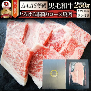  Mtg v[g Hi j A4,A5N I јa [X ē 250g ē̃^t Mtg v[g   ē A5 A4 Jr BBQ Ă Y o[xL[  H Zbg