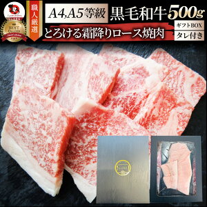Mtg Hi j A4,A5N I јa [X ē 500g(250g×2) ē̃^t Mtg v[g   ē A5 A4 Jr BBQ Ă Y o[xL[  H Zbg