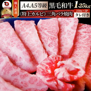  Ε NX}XHi j A4,A5 I јa Opo Jrē 1.25kg(250g×5) ē̃^t  eNjJ Mtg v[g  a   ē Jr BBQ Ă Y A5