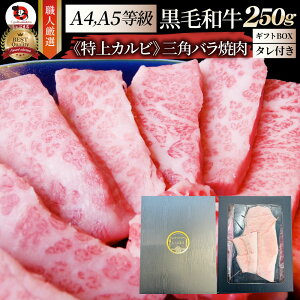  Mtg v[g Hi j A4,A5 I јa Opo Jrē 250g ē̃^t  eNjJ Mtg v[g  a   ē Jr BBQ Ă Y A5 A4