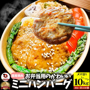 ٓ ~jno[O 10kg (1kg×10) Ⓚ  {  no[O y ٓ y Ɩp ߂邾 ` H 