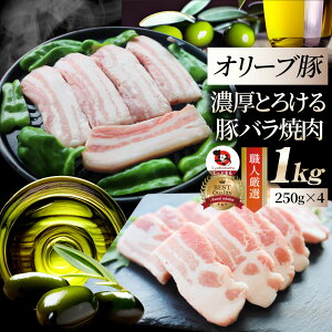  I[u o ēp 1kg(250g×4) ґ Ε NX}XHו Hi Mtg v[g  j lC j uh Mtg v[g Ⓚ 