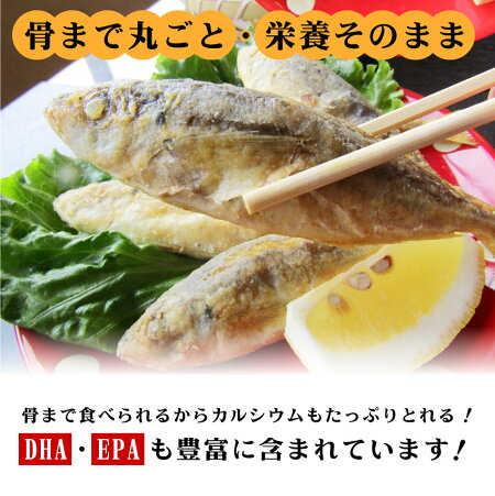 アジ
