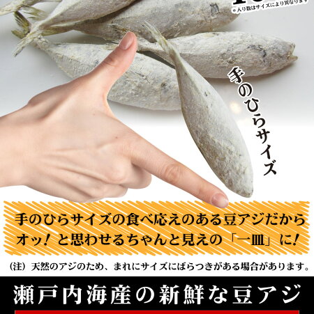 アジ