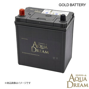 GB-M-55R 1�� ���Y�ԗp �A�C�h�����O�X�g�b�v�ԑΉ��o�b�e���[ GOLD BATTERY �����e�i���X�t���[ AQUA DREAM/�A�N�A�h���[�� AD-GB-M-55R 4549277016230