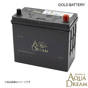 GB-N-65 1�� ���Y�ԗp �A�C�h�����O�X�g�b�v�ԑΉ��o�b�e���[ GOLD BATTERY �����e�i���X�t���[ AQUA DREAM/�A�N�A�h���[�� AD-GB-N-65 4549277016247
