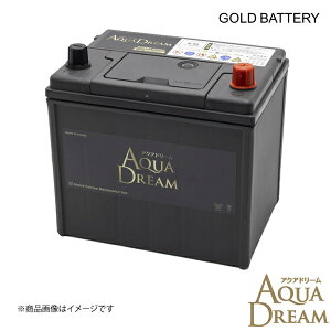 GB-Q-90 1�� ���Y�ԗp �A�C�h�����O�X�g�b�v�ԑΉ��o�b�e���[ GOLD BATTERY �����e�i���X�t���[ AQUA DREAM/�A�N�A�h���[�� AD-GB-Q-90 4549277016261