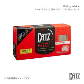 Rising white H4DSD セット サクシード NCP5#/NLP5# H17.8〜H26.8 純正:H4 Prime 35WHIDコンバージョンセット CATZ/キャズ 品番:AAP913A