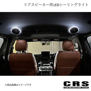 AXs[J[p LEDV[OCg dF nCG[X/WAXG[X 3^` 2012N5` CRS CRS-6026-08