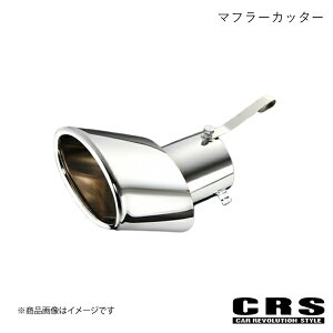}t[Jb^[ nCG[X/WAXG[X 200n 2004N8` CRS es-5001
