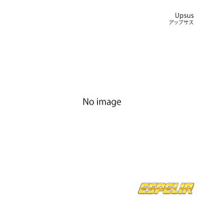 Upsus A N-WGN JH2 H27/4` Espelir GXyA i:H-9002R