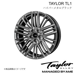 NTX NX A~zC[1{ 20C` 5H-114.3 8J +40 nCp[^ubN TAYLOR TL-1 AAZH20/AAZH25/TAZA25/AAZA20/AAZA25 2021/11` L kyoho
