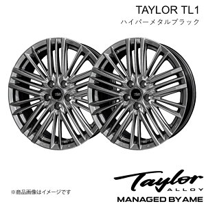 NTX LBX A~zC[2{ 18C` 5H-114.3 7.5J +40 nCp[^ubN TAYLOR TL-1 MAYH10/MAYH15 2023/11` L kyoho