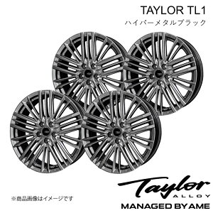 NTX NX A~zC[4{ 20C` 5H-114.3 8J +40 nCp[^ubN TAYLOR TL-1 AAZH20/AAZH25/TAZA25/AAZA20/AAZA25 2021/11` L kyoho