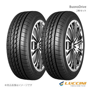 205/65R16 95H 2本 タイヤ単品 BuonoDrive/ブォーノドライブ 205 65 16 LUCCINI ルッチーニ J7064