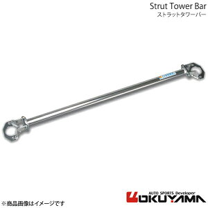 Xgbg^[o[ tg SM-X RH1/RH2 A~ OKUYAMA IN} i:624 215 0