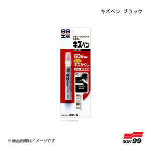 SOFT99/\tg99 LYy ubN 08061 JAN:4975759080619