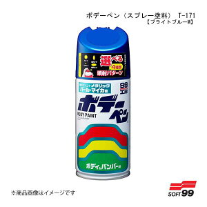 SOFT99/\tg99 {f[y(Xv[h) T-171 yg^/NTXE8K4EuCgu[Mz 08171 JAN:4975759081715