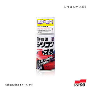 VRIt300 SOFT99/\tg99 09170