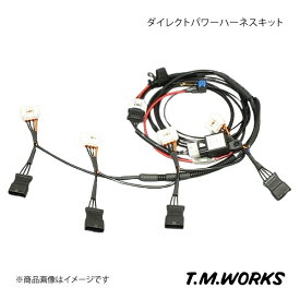 ダイレクトパワーハーネスキット 86 ZN6 T.M.WORKS ティーエムワークス 品番:DP1105