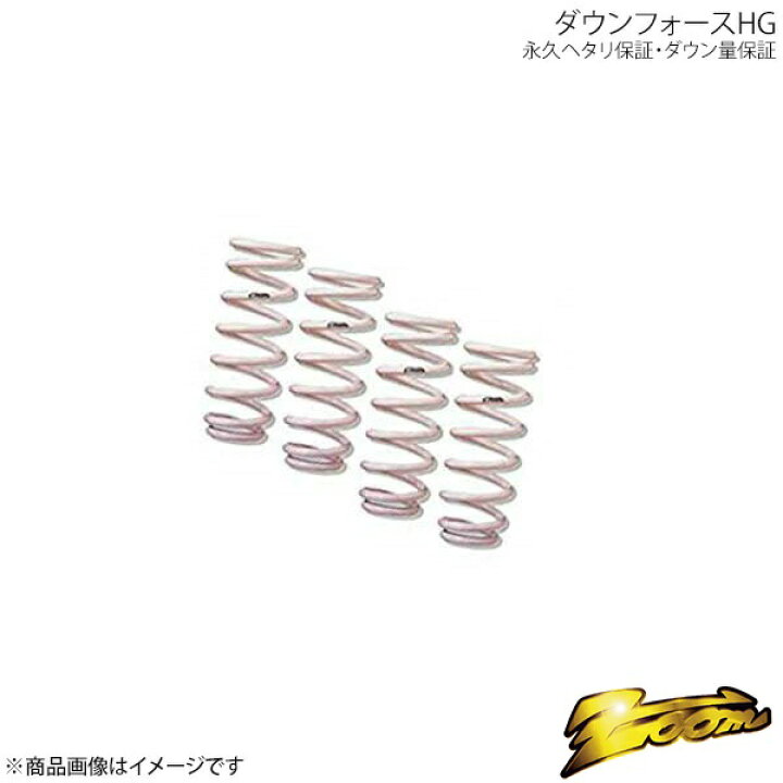zoom/ズーム ダウンサス ダウンフォースHG 1台分 フォルクスワーゲン 