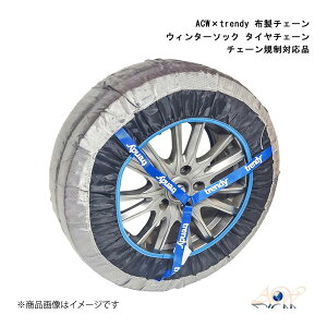 ASCENT WORLD/AZg[h ACW×trendy z`F[ EB^[\bN 13/14/15C`^CΉ ^C`F[ `F[KΉi WS-20