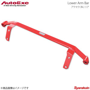 AutoExe I[gGO[ Lower Arm Bar AA[o[ Ap X`[ ANZ BLn2WD