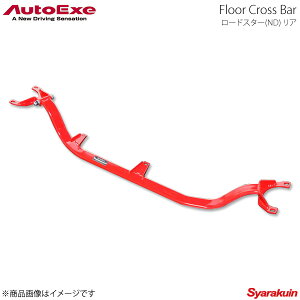 AutoExe I[gGO[ Floor Cross Bar tANXo[ Ap X`[ [hX^[ NDnS