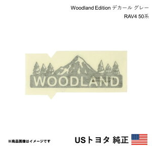 �C�O�����i US�g���^���� Woodland Edition �f�J�[�� �O���[ ���A�Q�[�g�p RAV4 50�n 2019-2025 �k�Ďd�l �A���� USDM California Custom s08789