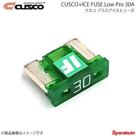 CUSCO クスコ クスコプラスアイスヒューズ Low Pro 30A 00B-746-LP30