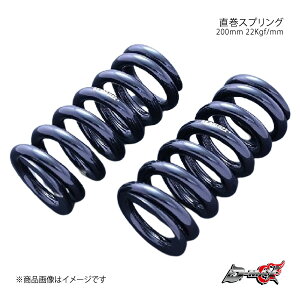 D-MAX fB[}bNX XvO ID62 R200mm XvO[g22Kgf/mm DMSSSF22AT2