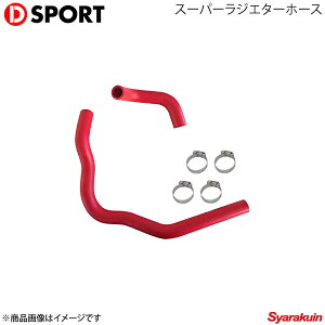 D-SPORT fB[X|[c X[p[WG^[z[XType2 Ry L880K 16574-A081